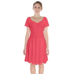 Red Salsa - Short Sleeve Bardot Dress by FashionLane