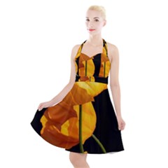 Yellow Poppies Halter Party Swing Dress  by Audy