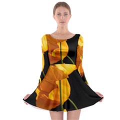 Yellow Poppies Long Sleeve Skater Dress by Audy