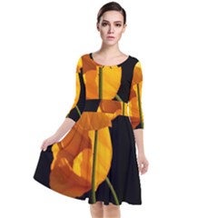 Yellow Poppies Quarter Sleeve Waist Band Dress by Audy