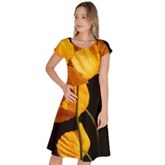 Yellow Poppies Classic Short Sleeve Dress by Audy