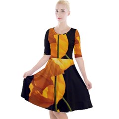 Yellow Poppies Quarter Sleeve A-line Dress by Audy