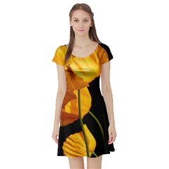 Yellow Poppies Short Sleeve Skater Dress by Audy