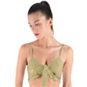 Egyptian Magic Woven Tie Front Bralet View1