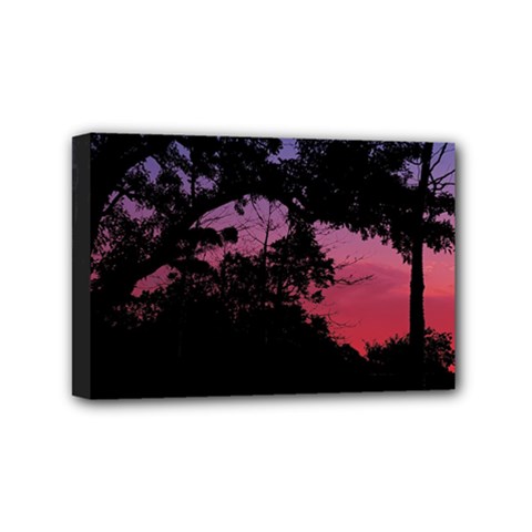 Sunset Landscape High Contrast Photo Mini Canvas 6  X 4  (stretched) by dflcprintsclothing