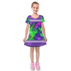 Feathery Winds Kids  Short Sleeve Velvet Dress by LW41021