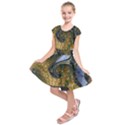 Sea of Wonder Kids  Short Sleeve Dress View1