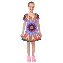 Passion Flower Kids  Short Sleeve Velvet Dress by LW323