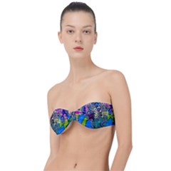 Exotic Flowers In Vase Classic Bandeau Bikini Top  by LW323