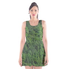 Leafy Forest Landscape Photo Scoop Neck Skater Dress by dflcprintsclothing