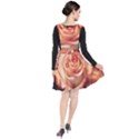 Roses-flowers-rose-bloom-petals Plunge Pinafore Dress View2