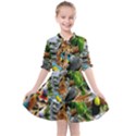 Amazonia Kids  All Frills Chiffon Dress View1