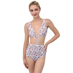 Flamingos Tied Up Two Piece Swimsuit by Sparkle