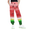 Painted watermelon pattern, fruit themed apparel Kids  Elastic Waist Pants View1