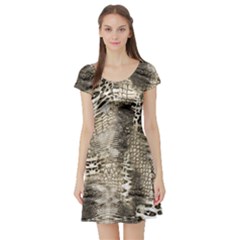 Luxury Snake Print Short Sleeve Skater Dress by CoshaArt