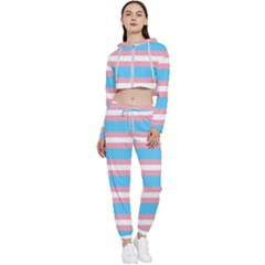 Trans Flag Stripes Cropped Zip Up Lounge Set by WetdryvacsLair