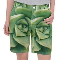 Echeveria Imbricata Closeup Photo Pocket Shorts by dflcprintsclothing