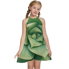 Echeveria Imbricata Closeup Photo Kids  Halter Collar Waist Tie Chiffon Dress by dflcprintsclothing