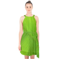 Banana Leaf Halter Collar Waist Tie Chiffon Dress by artworkshop