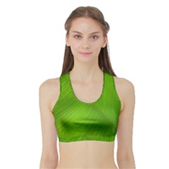 Banana Leaf Sports Bra With Border by artworkshop