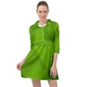 Banana Leaf Mini Skater Shirt Dress View1