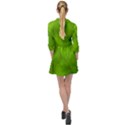 Banana Leaf Mini Skater Shirt Dress View2