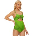 Banana Leaf Knot Front One-Piece Swimsuit View3