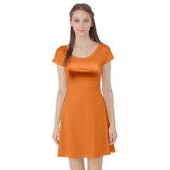 Orange Short Sleeve Skater Dress by FunDressesShop