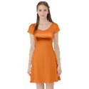 Orange Short Sleeve Skater Dress View1