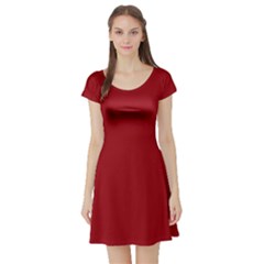 Red Plain Short Sleeve Skater Dress by FunDressesShop