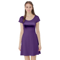 Purple Plain Short Sleeve Skater Dress by FunDressesShop