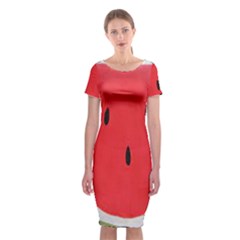 Watermelon Pillow Fluffy Classic Short Sleeve Midi Dress by artworkshop