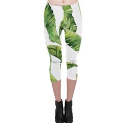 Sheets Tropical Plant Palm Summer Exotic Capri Leggings  by artworkshop