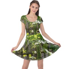 Bitter Melon Cap Sleeve Dress by artworkshop