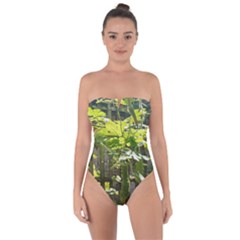 Bitter Melon Tie Back One Piece Swimsuit by artworkshop