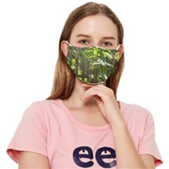 Bitter Melon Fitted Cloth Face Mask (adult) by artworkshop