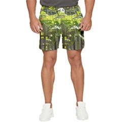 Bitter Melon Men s Runner Shorts by artworkshop