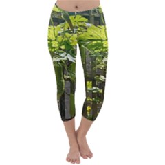 Bitter Melon Capri Winter Leggings  by artworkshop