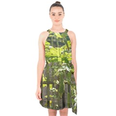 Bitter Melon Halter Collar Waist Tie Chiffon Dress by artworkshop