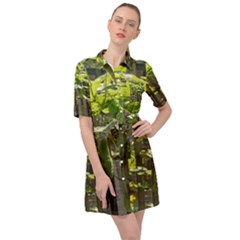 Bitter Melon Belted Shirt Dress by artworkshop