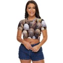 Snail Shells Pattern Arianta Arbustorum Side Button Cropped Tee View1