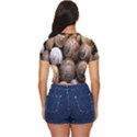 Snail Shells Pattern Arianta Arbustorum Side Button Cropped Tee View4