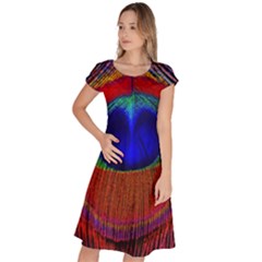 Peacock Plumage Fearher Bird Pattern Classic Short Sleeve Dress by Sapixe