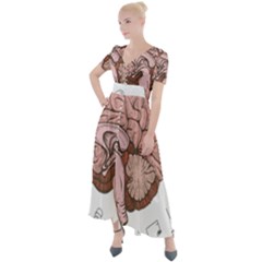 Cerebrum Human Structure Cartoon Human Brain Button Up Short Sleeve Maxi Dress by Sapixe