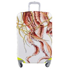 Animal Art Forms In Nature Jellyfish Luggage Cover (medium) by Sapixe