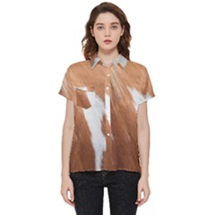 Horse Coat Animal Equine Short Sleeve Pocket Shirt by artworkshop