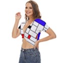 Illustration Geometric Abstract Plates Mosaic Twist Front Crop Top View2