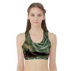 Green Orchid Plant Pattern Sports Bra With Border by Ravend