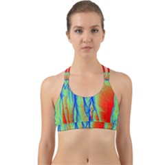 Pattern Design Decorative Art Back Web Sports Bra by Ravend