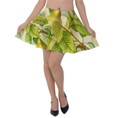 Pear Fruit Tree Organic Pattern Velvet Skater Skirt by Wegoenart